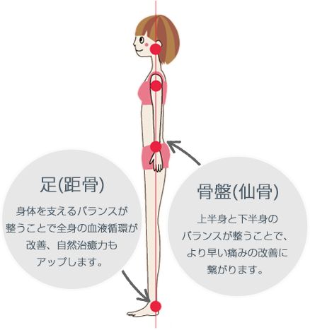 皆さんが知らないカラダの常識